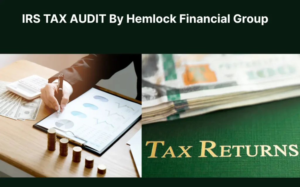 IRS audit, IRS tax audit