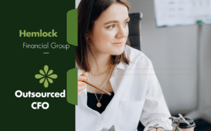 Read more about the article Business Potential: How Outsourced CFO Services Drive Growth